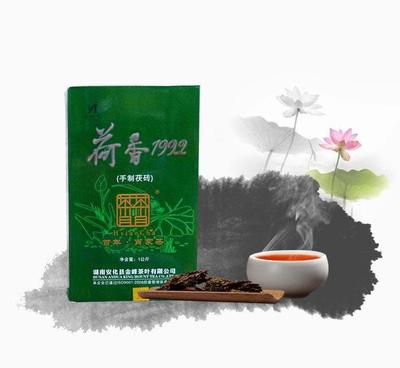 纯正安化1992荷香茶 岁月沉香，金花馥郁的健康之选