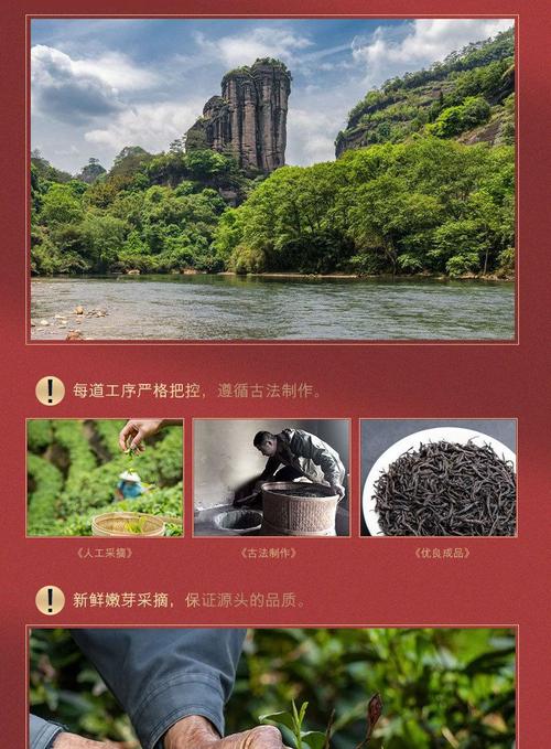 武夷山正山小种福建红茶500g新茶浓香型优惠茶叶散装礼盒装批发